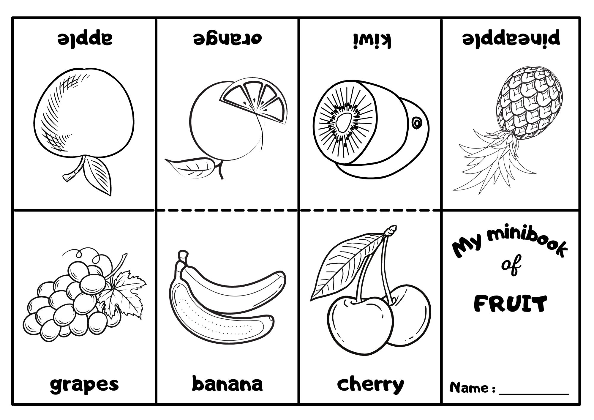 Fruit Mini Coloring Book